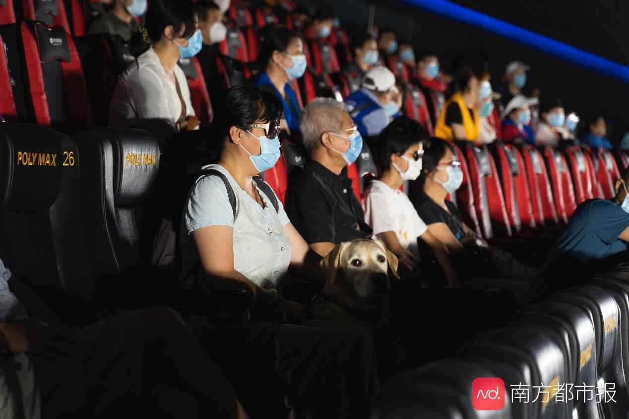 盲人的《八佰》:电影如何帮1700万盲人走入社会?